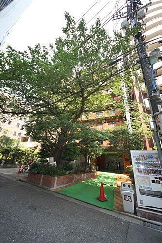 メゾンド四谷