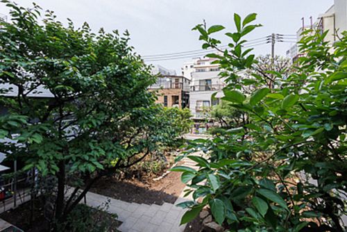 シャトレ信濃町